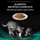 Pro Plan Veterinary Diets Feline En Gastrointestinal Salmón en Salsa sobre para gatos - Multipack 10, , large image number null